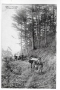 J387a Japonia - wędrówka w lektyce /palankinie na górę Hiei 