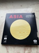 Yinhe Jupiter 3 Asia H39 grubość max - okładzina do tenisa stołowego.