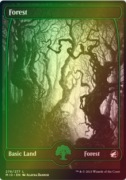 FOREST V1 276 FOIL Innistrad: Midnight Hunt
