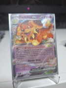 Pokemon Stellar Crown Dachsbun Ex 067/142