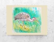 żuraw obrazek A4, ptaki , obraz z ptaszkiem 21x30