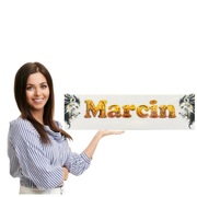 Tablica rejestracyjna lub mroźna pleksi, różne wymiary,Imienna + przyssawki