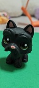 Littlest pet shop  terrier szkocki #1156
