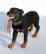 Pies rasy rottweiler L