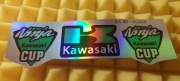 KAWASAKI NINJA NAKLEJKA STICKERS