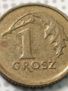 1gr  2014r destrukt rzadkość 