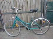 Rower damka Victus Passenger .