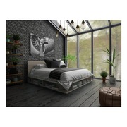 Obraz "Silver Plane" firmy STYLER- srebrny samolot