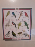 Gambia 1993  Mi 1565-76  ptaki  arkusz CIĘTY UNIKAT  czysta idealna