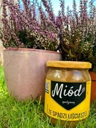 Miód ze spadzi liściastej 500ml 650g 2025r. Pasieka Polna