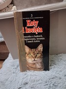 Koty i kocięta     