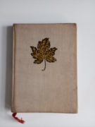 Krysia bezimienna A. Domańska