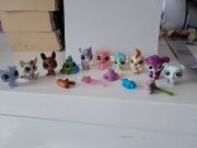 Littlest Pet Shop LPS komplet małych lps plus akcesoria