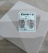 Kolczyki srebrne próba 925