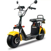 Skuter elektryczny BILI COCO G4 12Ah