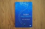 Głębia Challengera, Neal Shusterman