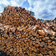 drewno opałowe kominkowe olcha osika topola dąb brzoza