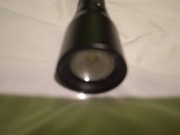 Latarka crivit tradix 