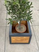 Drewniana donica ogrodowa 37cm x 37cm x 31cm