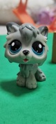 Littlest pet shop Wilk z serii Basic Fun (Retro G2) #20 