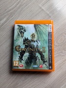 Divinity II: Ego Draconis