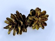 Szyszki udekorowane brokatem złotym. 20 szt