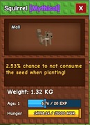 Squirrel - grow a garden roblox , pet