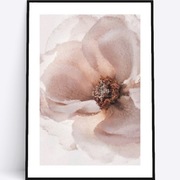 A4 Plakat kwitnąca dzika róża do salonu sypialni