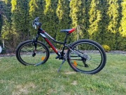 Rower Kross Hexagon 1.0