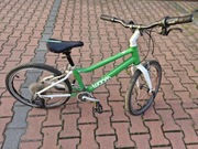 Rower woom 4 zielony