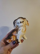 Pies pekińczyk King Charls porcelana Rumunia Cluj