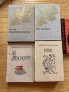 Józef Ignacy Kraszewski, dzieła 5 książek