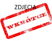 MICHAŁ ANIOŁ - WIELCY MALARZE TOM 5