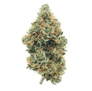 Susz konopny CBG Green Snow 1g KonopnyDruidPl