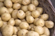 Ziemniaki młode 1 kg Prosto z pola Ekonaturalne!