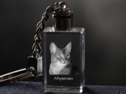 Abyssinian brelok sześcienny Świecący