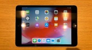 iPad mini 2 16GB