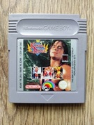 Game Boy - King of the Ring