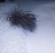 Kogut, streamer, jig