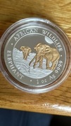 Słoń Somalijski 2026 1 oz gilded pozłacana moneta African wildlife 