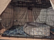 Klatka kennelowa 