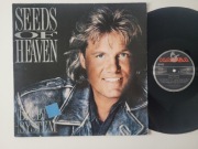 BLUE SYSTEM  - SEEDS OF HEAVEN  - ALBUM 12"  - WINYL EURO DISCO 