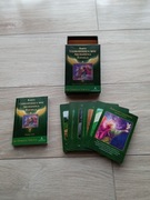 Doreen Virtue karty uzdrawiająca moc Archanioła Rafaela podręcznik 44 karty