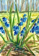 Pierwiosnki w lesie Original Akwarela A4