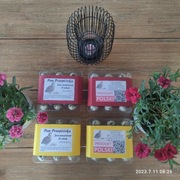 Jajka Przepiórcze jaja przepiórka, zdrowe, eko,18