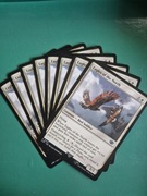 Eagles of the North The Lord of the Rings:Tales of Middle-earth LTR