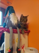 Skrzat Krasnal Rękodzieło Zabawka Ozdoba 