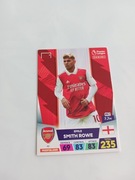 Sprzedam karte panini premier league 40