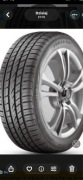 225/65 R17 FSR -303 Fortunę