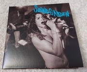 Soundgarden - Screaming Life / Fopp remaster